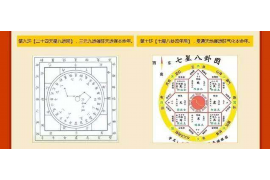 属狗的幸运色，探寻与揭秘