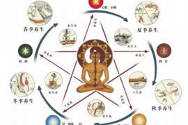 公司起名软件，如何选择与使用？