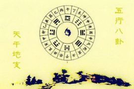 十二生肖与天干地支的奥秘，传统文化的瑰宝